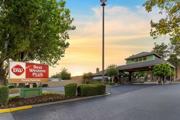 Best Western Plus Forest Park Inn image 1