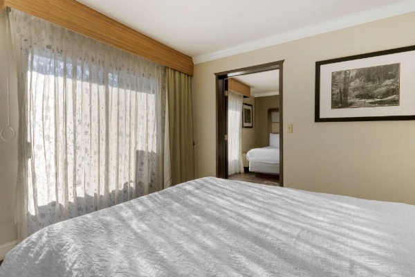 Best Western Plus Forest Park Inn image 25