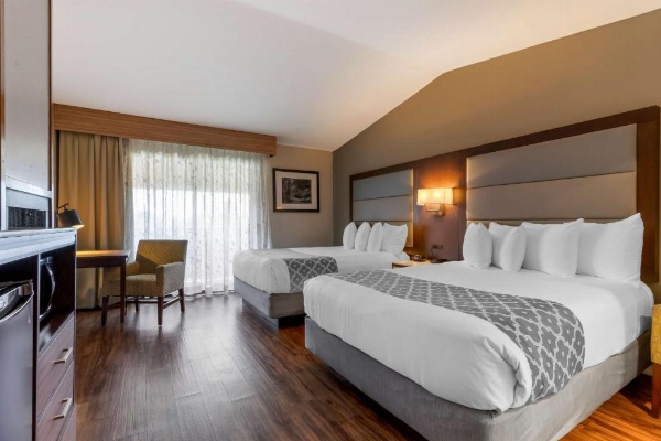 Best Western Plus Forest Park Inn image 30