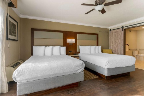 Best Western Plus Forest Park Inn image 9